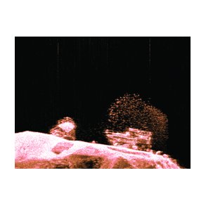 Raymarine DownVison Plotter/Ekkolod